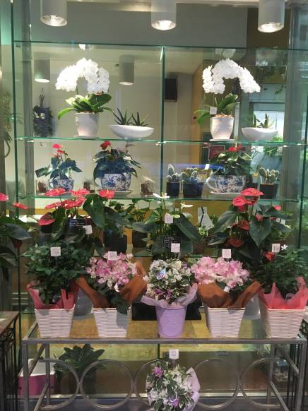 兵庫県神戸市中央区の花屋 ｆｌｏｒａｌ ｔｓｕｋａｓａ ｋｏｂｅ にフラワーギフトはお任せください 当店は 安心と信頼の花キューピット加盟店です 花キューピットタウン